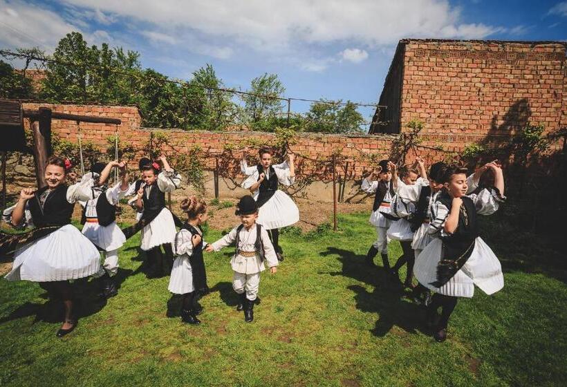 膳宿费 Badiu S Guest House