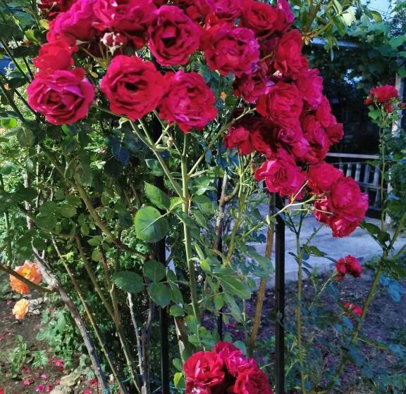 پانسیون Casa Mattia