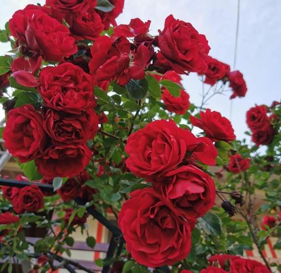 پانسیون Casa Mattia