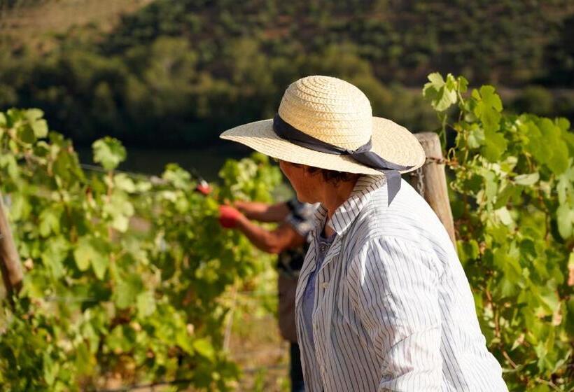 펜션 Quinta De S. Jose   Turismo Rural