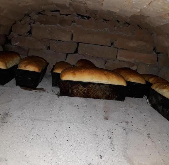 Pensiunea Casa Godja