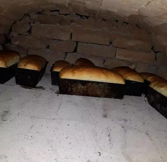 Pensiunea Casa Godja