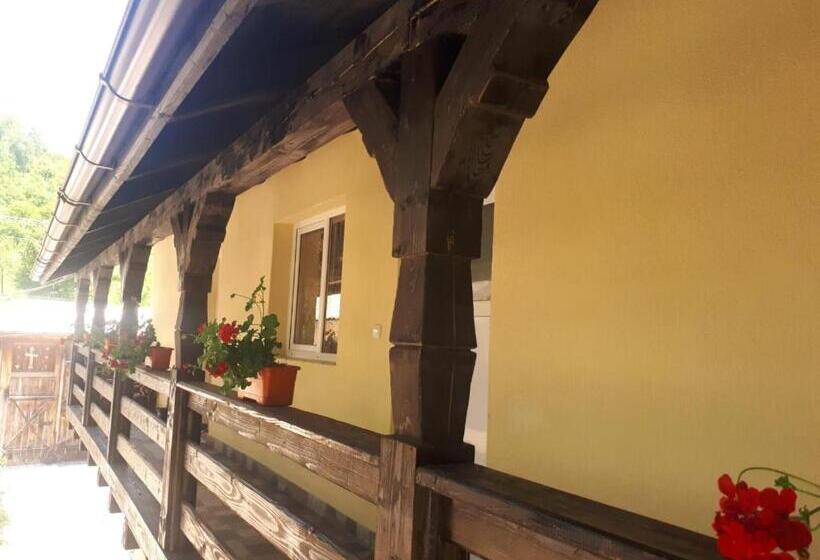 Pensiunea Casa Godja