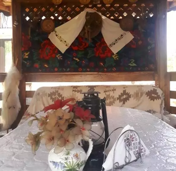 Pensiunea Casa Godja