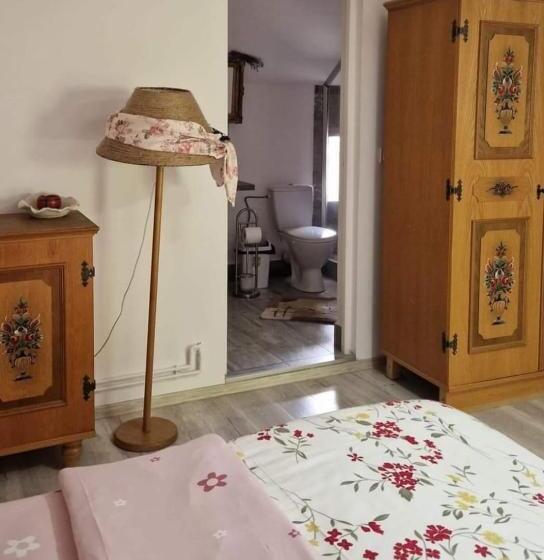 Pensiunea Casa Godja