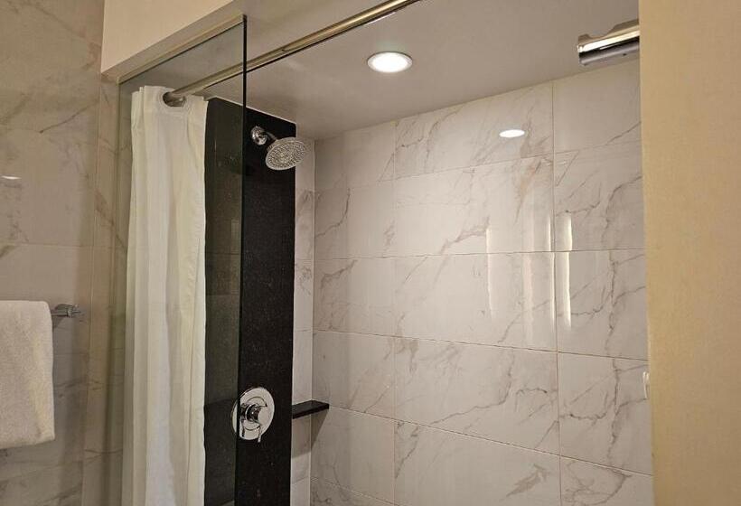 Coolest Bar Hoping Linq Casino Hotel Strip Las Vegas