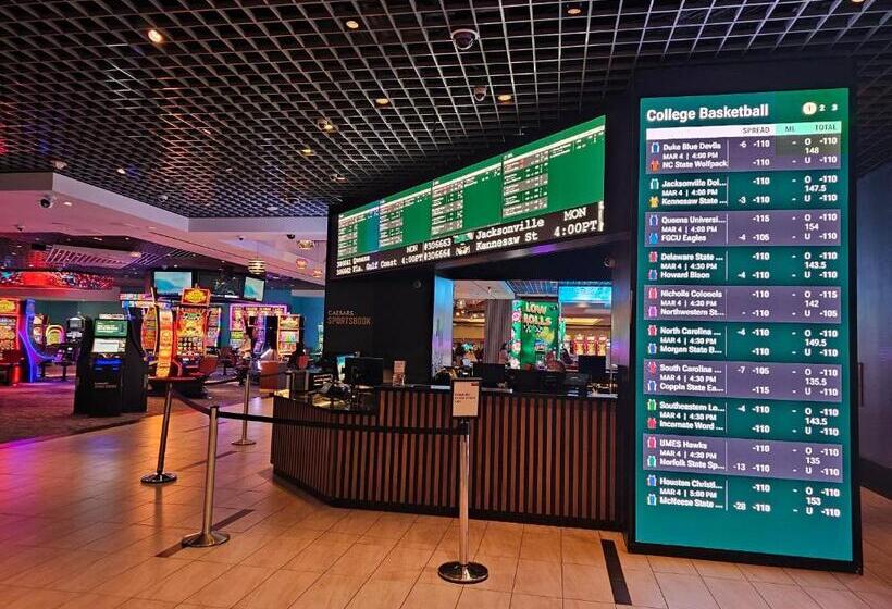 Coolest Bar Hoping Linq Casino Hotel Strip Las Vegas