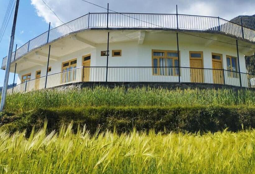 Pensão Yellow House