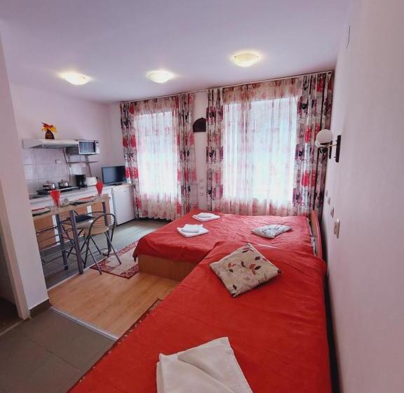 Pensiunea Rock And Red