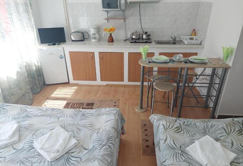 Pensiunea Rock And Red