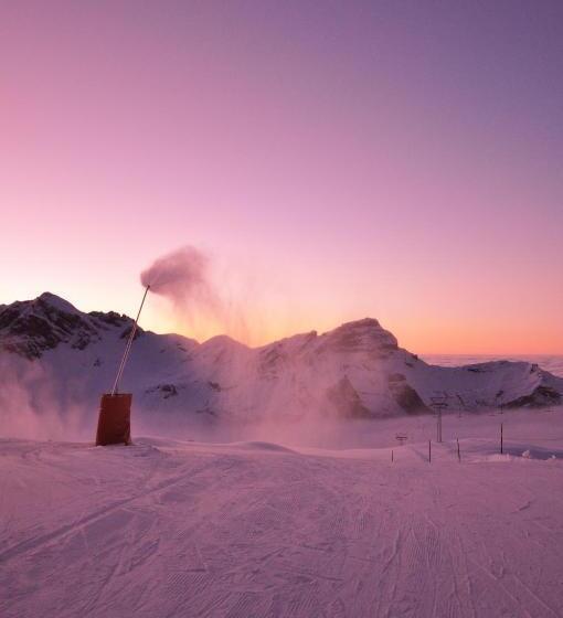 호스텔 Berghotel Bonistock