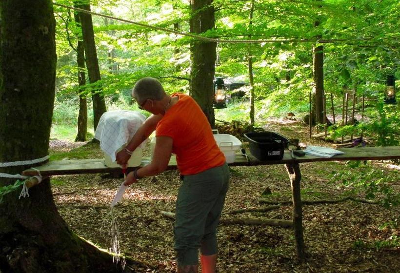 הוסטל Stf Nyrups Naturhotell