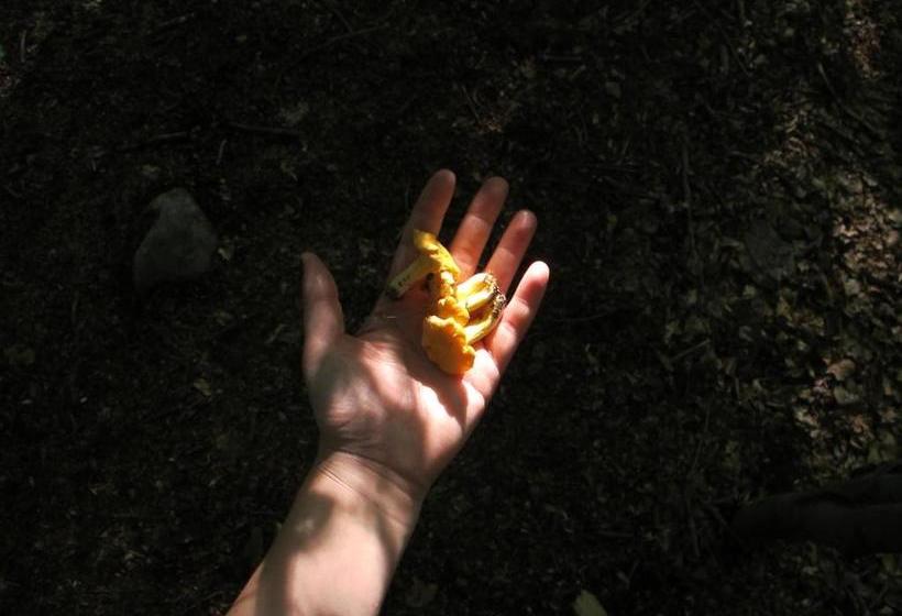 הוסטל Stf Nyrups Naturhotell