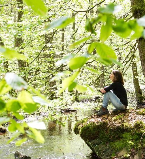 הוסטל Stf Nyrups Naturhotell