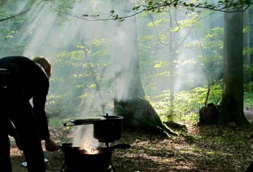 הוסטל Stf Nyrups Naturhotell