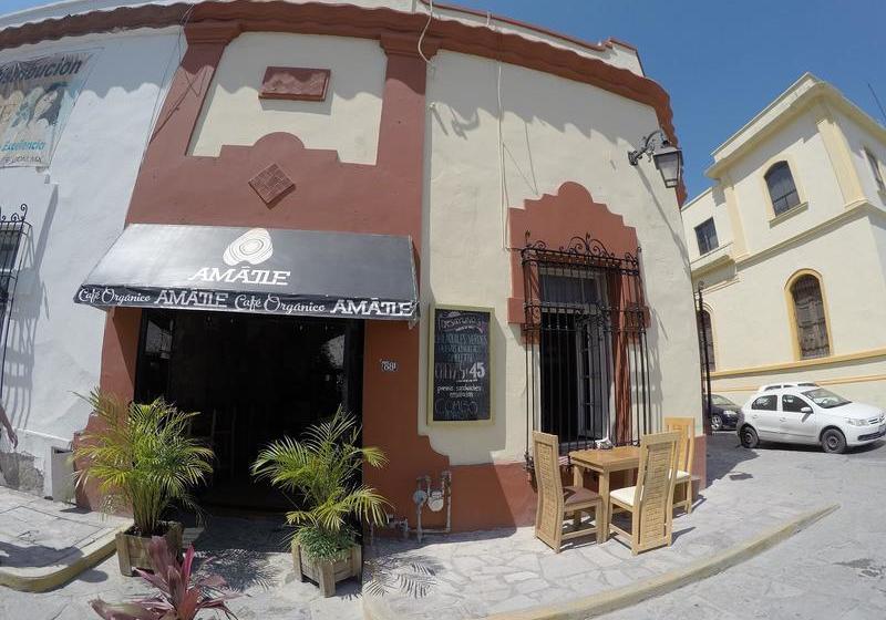 Amatle Cafe Organico & Hostel