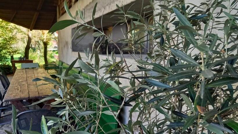 Bed and Breakfast Emme Lodge