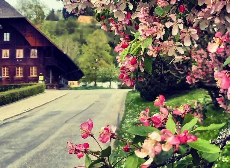 Bed and Breakfast Emme Lodge