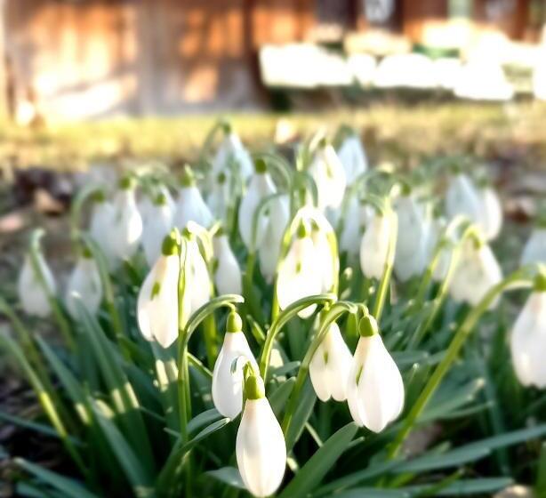 Bed and Breakfast Emme Lodge