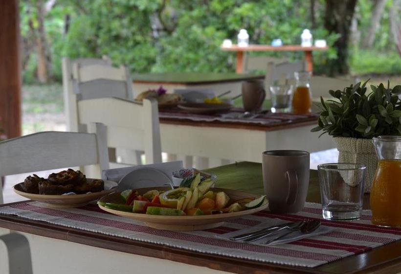 Bed and Breakfast Naturalmente Boutique Bungalows Y Cocina Mediterránea