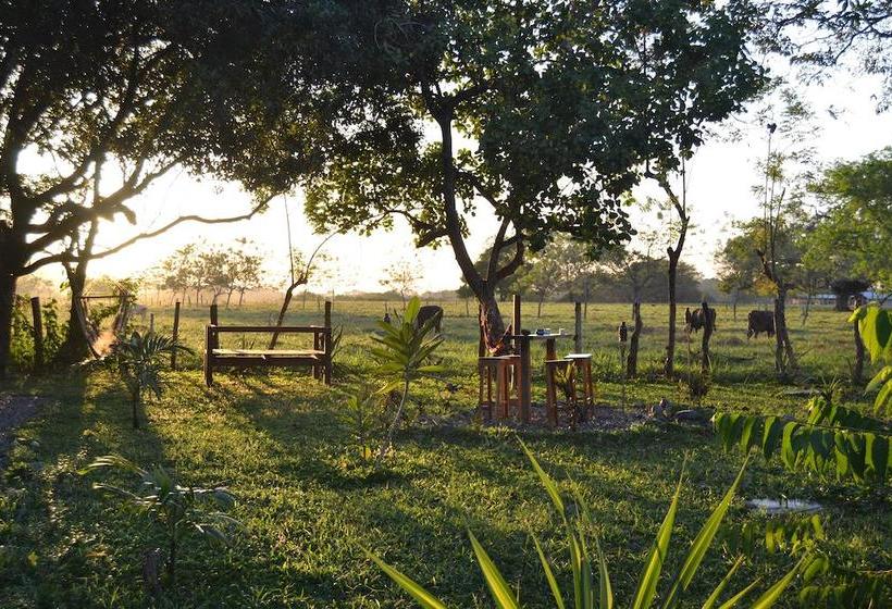 Bed and Breakfast Naturalmente Boutique Bungalows Y Cocina Mediterránea