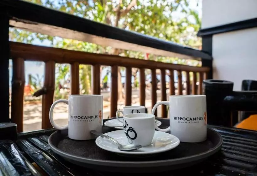 Hippocampus Beach Resort