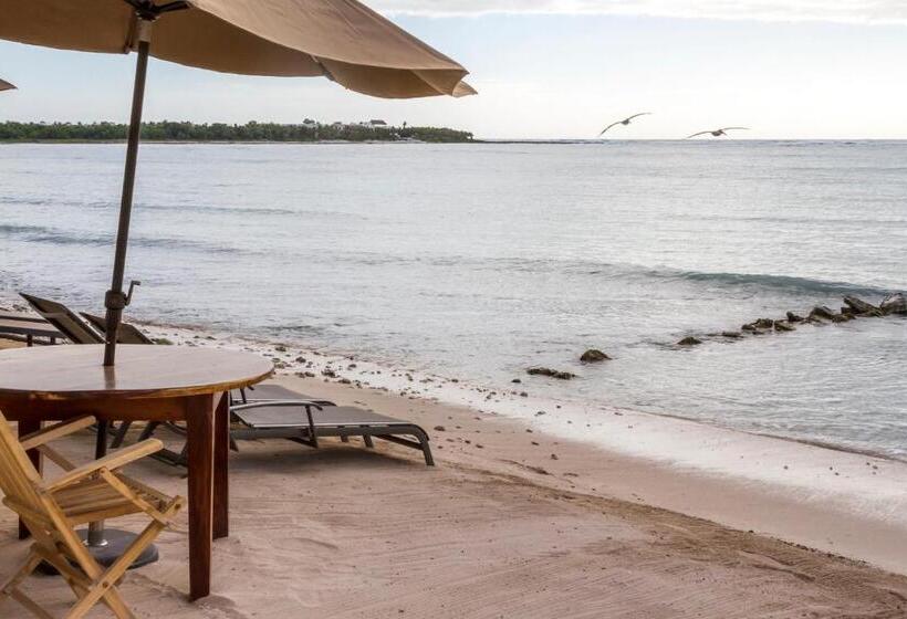 Hotel Cielo Maya Beach Tulum