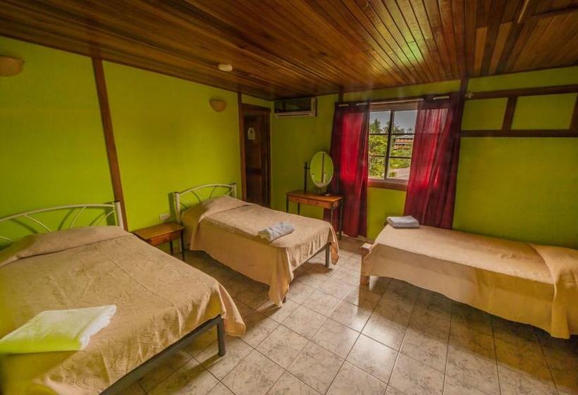 Hotel Posada Los Delfines