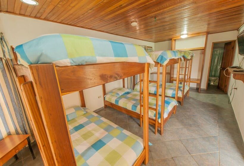 Hotel Posada Los Delfines