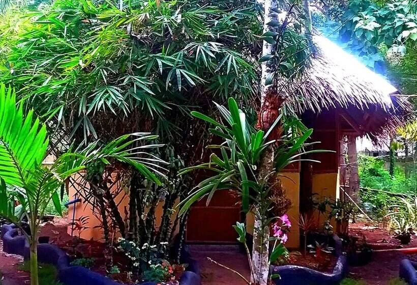 Lennons Place Backpacker Hostel