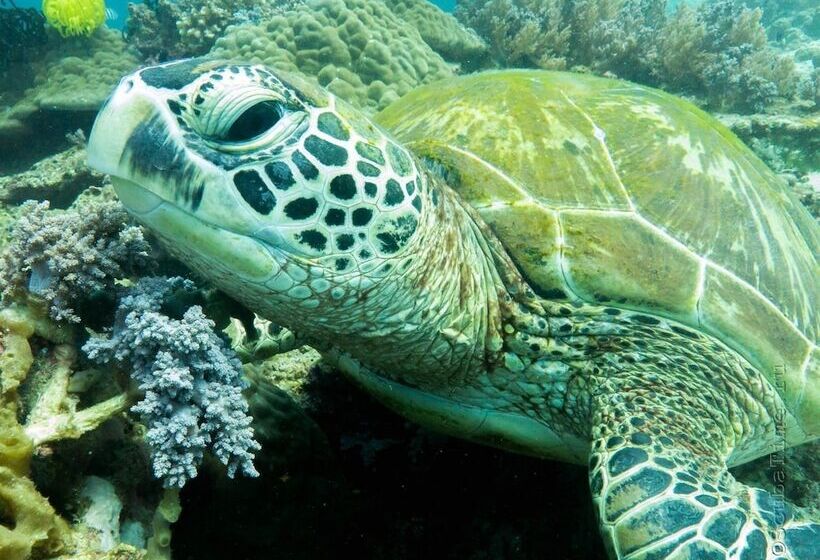 Lennons Place Backpacker Hostel