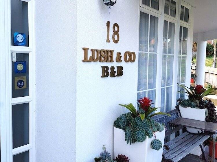 Lush & Co Auckland Bed & Breakfast