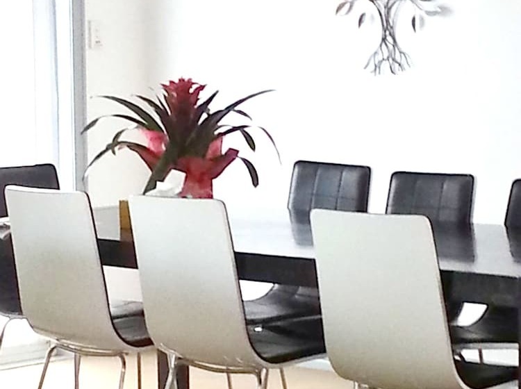 Lush & Co Auckland Bed & Breakfast