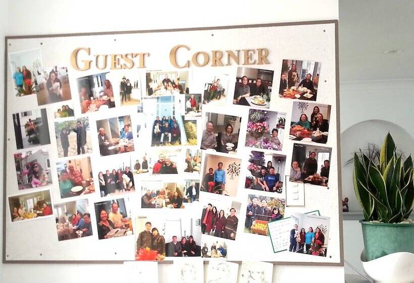 Lush & Co Auckland Bed & Breakfast