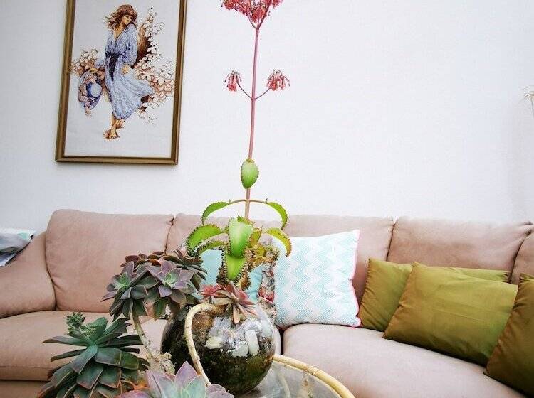 Lush & Co Auckland Bed & Breakfast