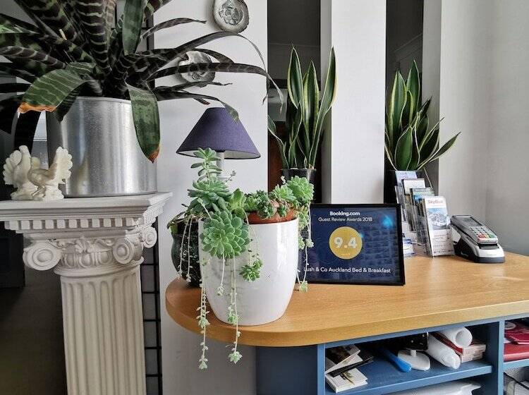 Lush & Co Auckland Bed & Breakfast
