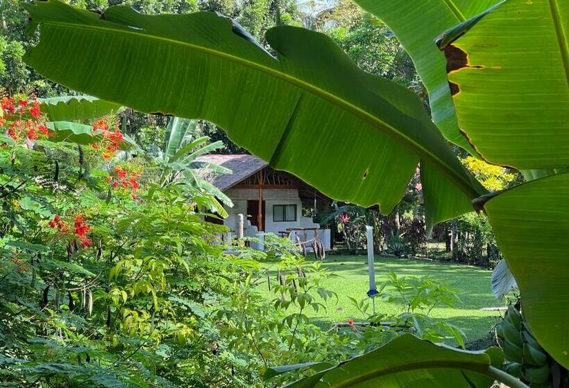 Nypa Style Resort Camiguin