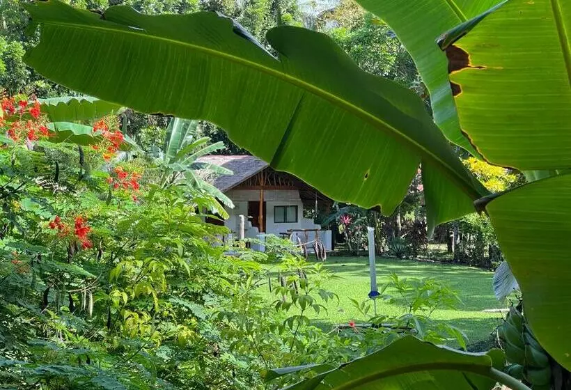 Nypa Style Resort Camiguin