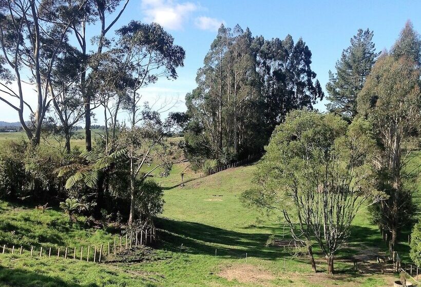 Rolling Hills Country Stay B&b