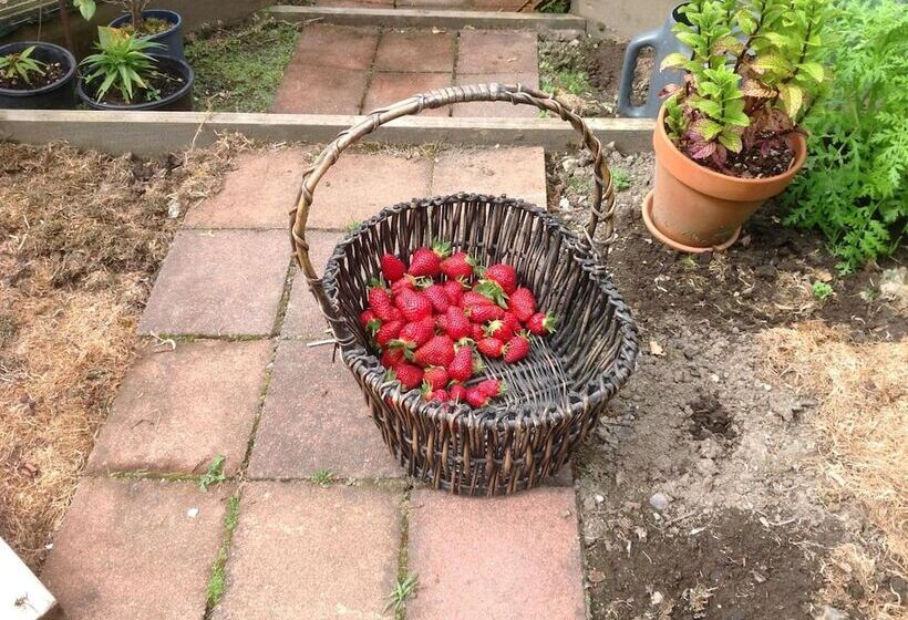 Rolling Hills Country Stay B&b