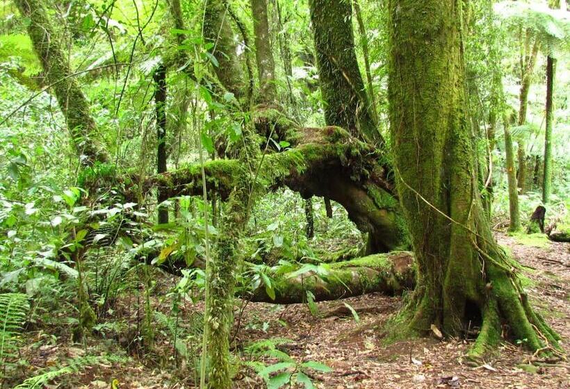 Rolling Hills Country Stay B&b