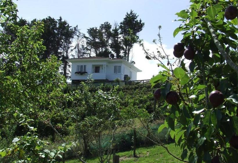 Runciman Berries And Emus B&b