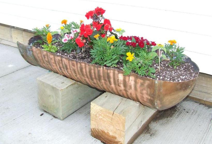 Runciman Berries And Emus B&b