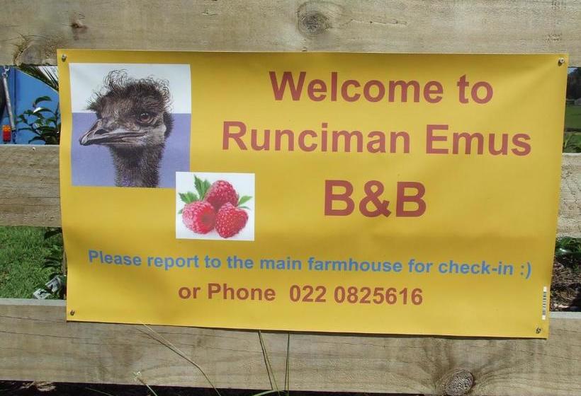 Runciman Berries And Emus B&b