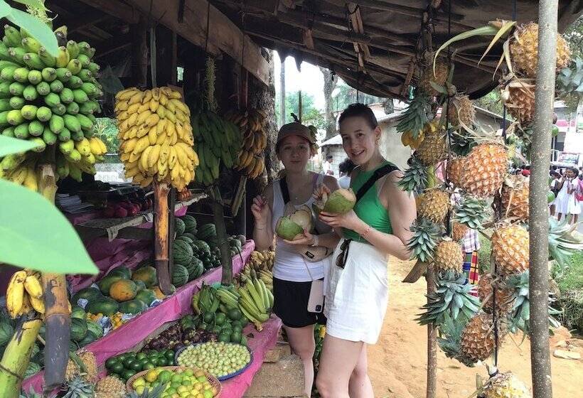 בית מלון כפרי The Backyard Blangoda