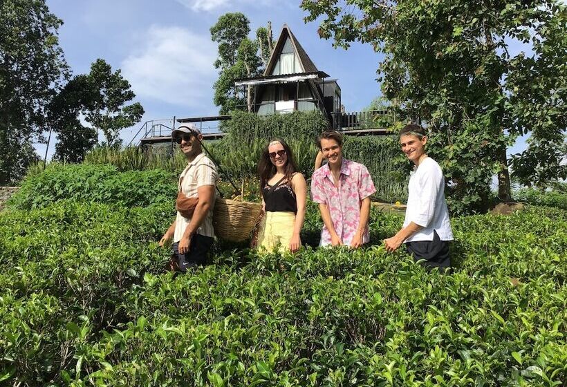 בית מלון כפרי The Backyard Blangoda