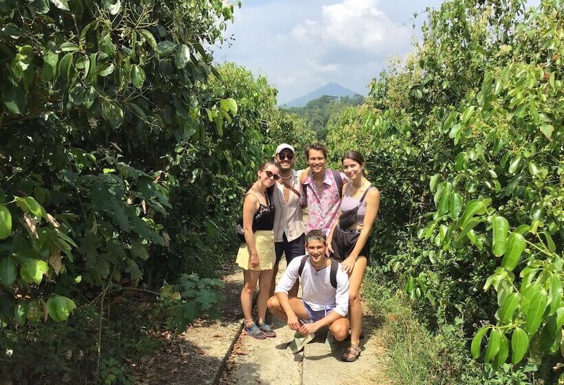 בית מלון כפרי The Backyard Blangoda