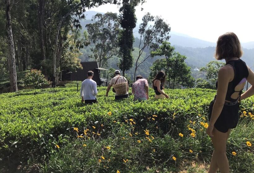 בית מלון כפרי The Backyard Blangoda