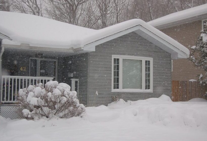 A Muskoka Dream Catcher Bed & Breakfast