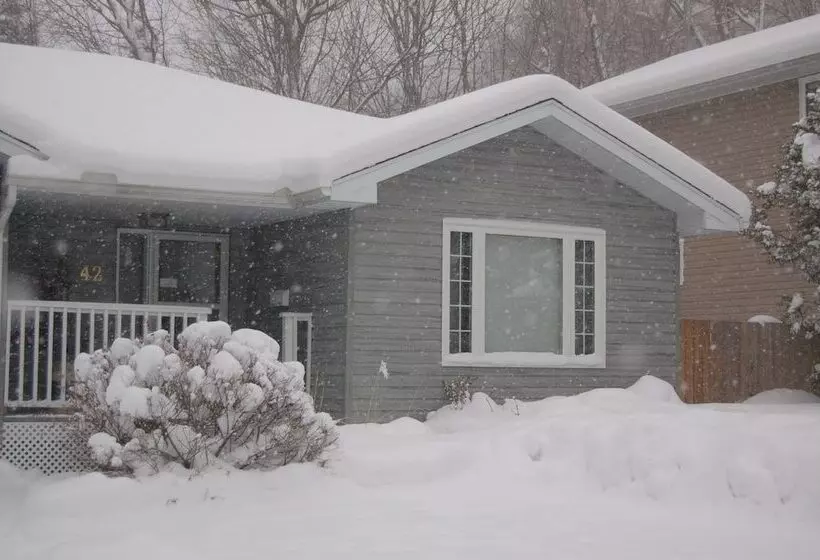 A Muskoka Dream Catcher Bed & Breakfast